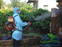 Dịch vụ diệt côn trùng chất lượng tại Thanh Hóa